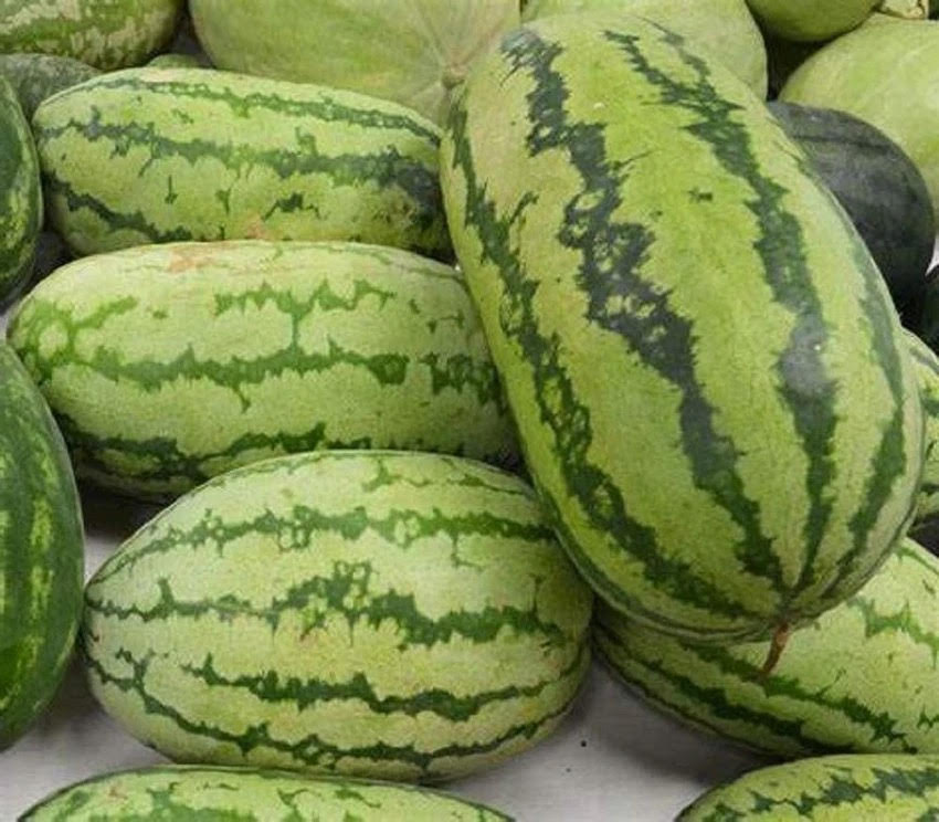 Jubilee Watermelon - $8.00/EA
