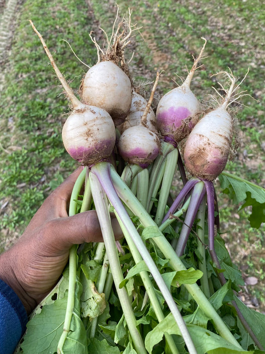 TURNIP GREEN - - $4.00/EA