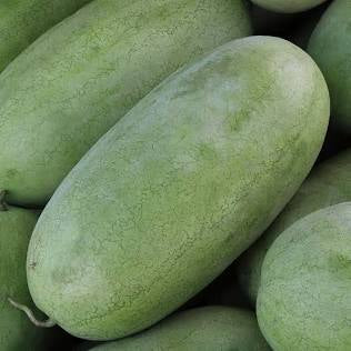 WATERMELON; Charleston Grey - $10.00/EA
