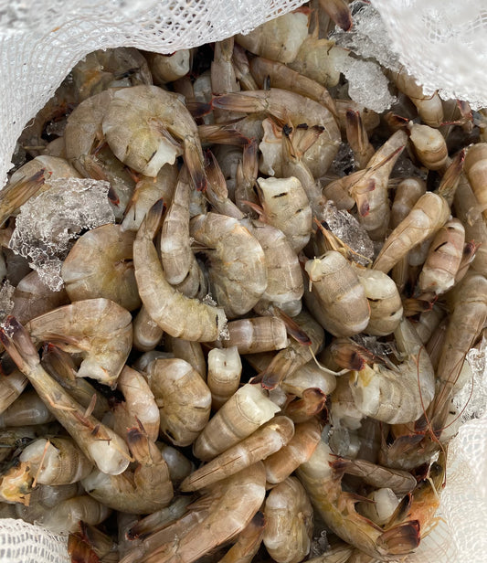 SHRIMP; Fresh East Coast