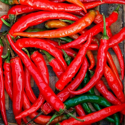 CAYENNE PEPPER - $3.00/LB